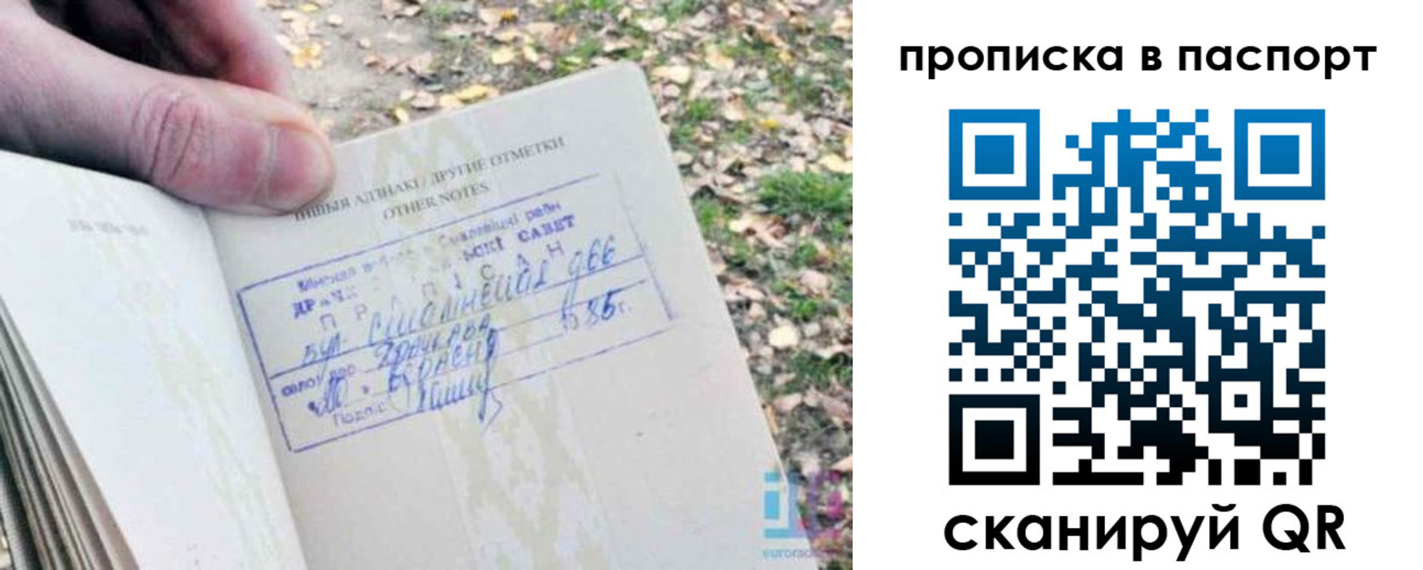 купить прописку в Хабаровске